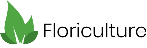 Zur Startseite wechseln